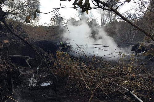 На Полтавщині триває гасіння пожежі поверхневих покладів торфу