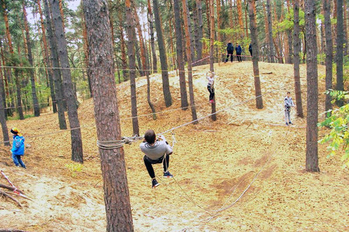 "Петлюрівський вишкіл" - 2017