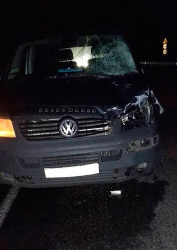 ДТП на Полтавщині: загинуло двоє пішоходів