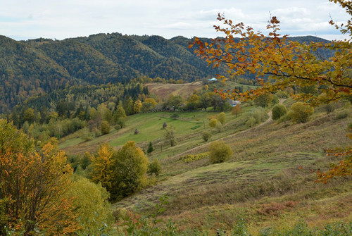 Осінні барви Буковини