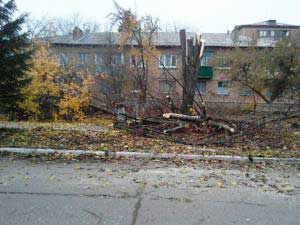 Підрізання, кронування аварійних дерев, вивезення гілля