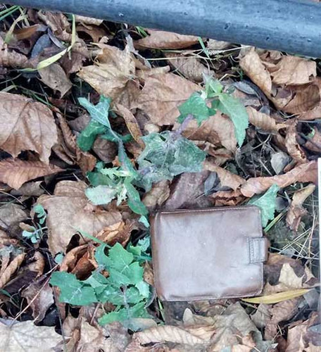 В Полтавській області на цвинтарі пограбували 76-річного лубенця