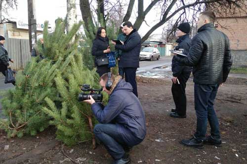  Від початку сезону на Полтавщині вилучено з незаконного продажу близько 200 хвойних дерев (ФОТО) 