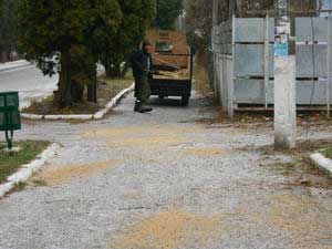 Посипання, оброблення доріг і тротуарів піщано-соляною сумішшю