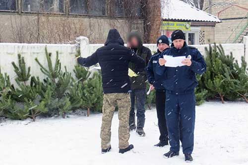 Правоохоронці виявили низку фактів незаконної торгівлі ялинками