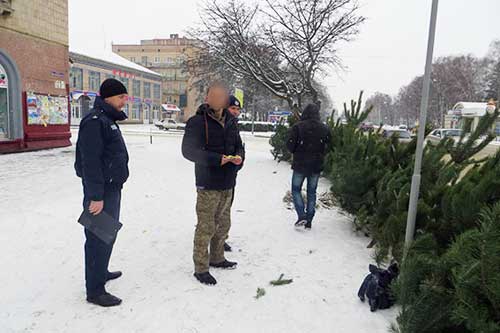 Правоохоронці виявили низку фактів незаконної торгівлі ялинками
