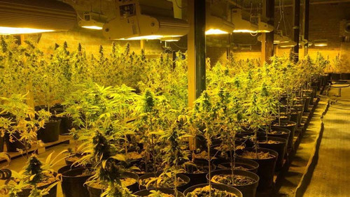 Нарколабораторія