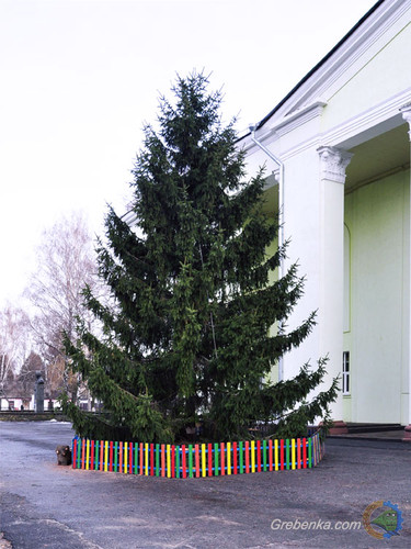 Новорічна ялинка в Гребінці
