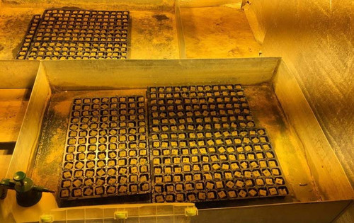 Нарколабораторія