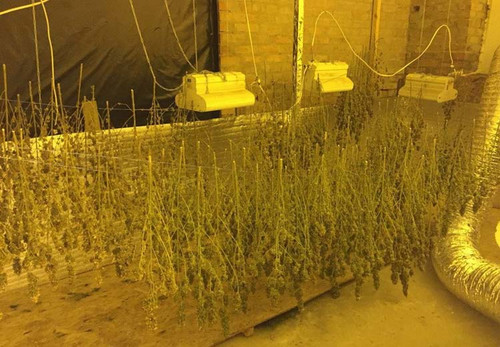 Нарколабораторія