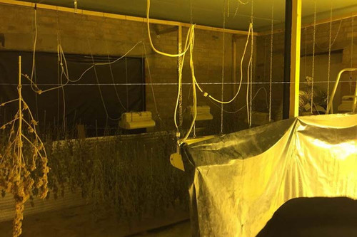 Нарколабораторія