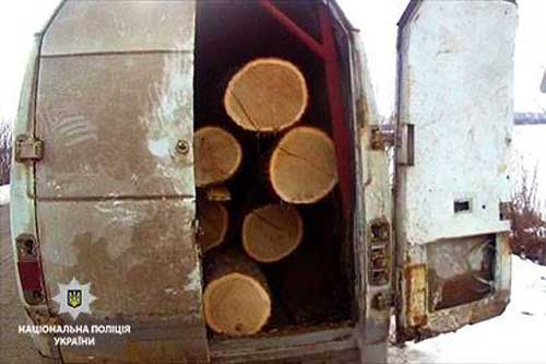  На Лубенщині поліцейські задокументували два факти незаконної порубки лісу 