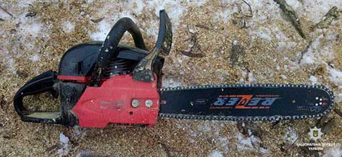 Незаконна порубка лісу