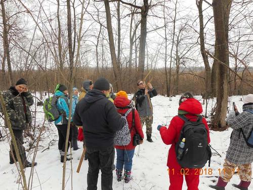 На Пирятинщині волонтери рахували сов