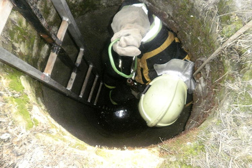 Собака впала у каналізаційний колодязь