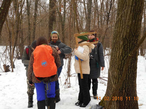 На Пирятинщині волонтери рахували сов