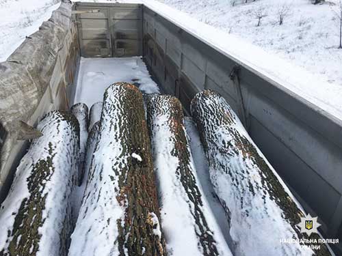 Перевезення незаконно вирубаної деревини