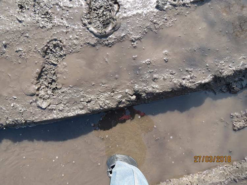 в районі Деповського селища замість дороги - непрохідне болото