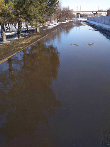 Озеро замість дороги: одну з вулиць Гребінки затопило водою