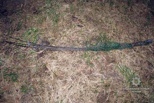 В Оржиці поліцейські задокументували факт незаконного вилову риби