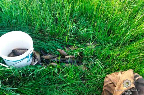 У Миргороді на Полтавщині "застукали" браконьєра-рецидивіста У Миргороді на Полтавщині "застукали" браконьєра-рецидивіста