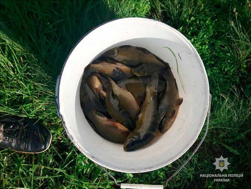 У Миргороді на Полтавщині "застукали" браконьєра-рецидивіста У Миргороді на Полтавщині "застукали" браконьєра-рецидивіста