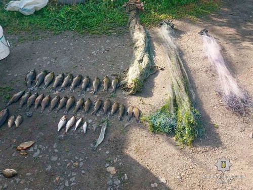 У Миргороді на Полтавщині "застукали" браконьєра-рецидивіста У Миргороді на Полтавщині "застукали" браконьєра-рецидивіста