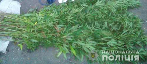 Результати операції «Мак» на Полтавщині