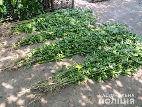 Результати операції «Мак» на Полтавщині