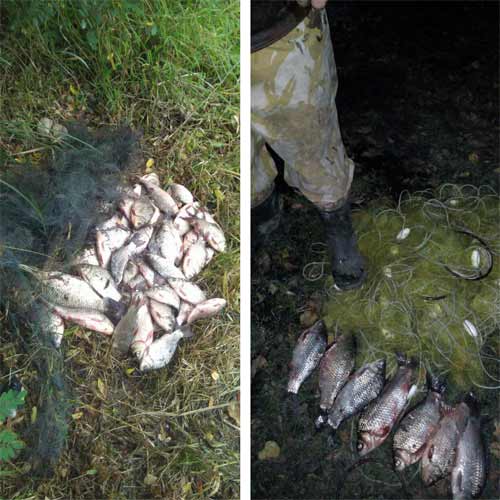 Полтавський рибоохоронний патруль викрив 30 порушень