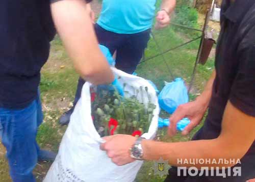 Результати операції «Мак» на Полтавщині