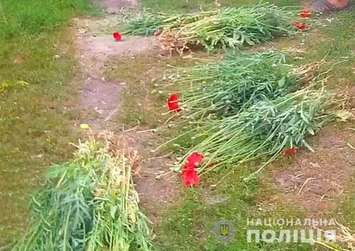 Результати операції «Мак» на Полтавщині