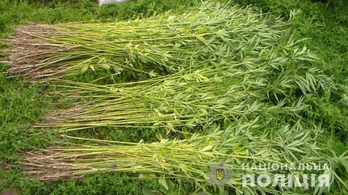 Результати операції «Мак» на Полтавщині