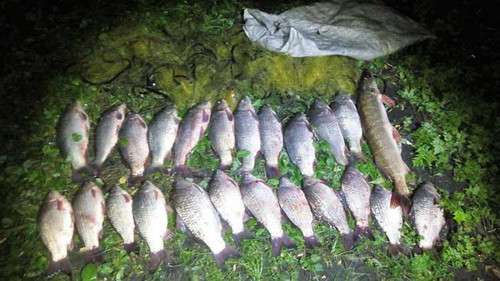 Інспектори Полтавського рибпатруля виявили 497 порушень