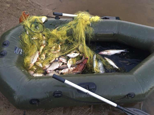 Інспектори Полтавського рибпатруля виявили 497 порушень