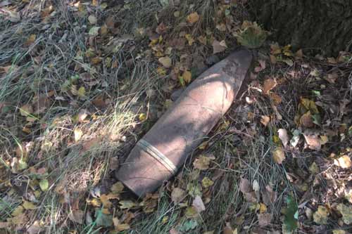 На Пирятинщині в лісовому масиві виявлено 17 артснарядів, 17 мінометних мін та 4 гранати