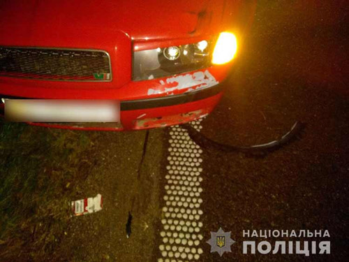 Внаслідок ДТП пішохід загинула на місці пригоди