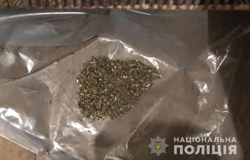 Поліцейські вилучили наркозасоби