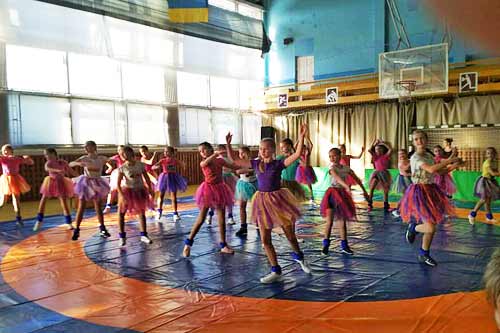 У Гребінці пройшли змагання з греко-римської боротьби