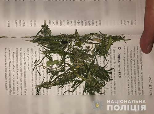 Поліцейські вилучили наркозасоби