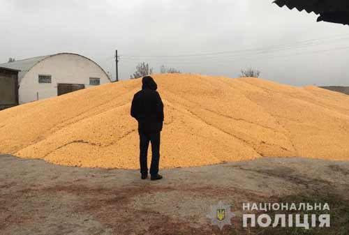 Розкриття злочинів