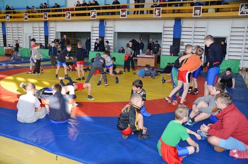 У Гребінці пройшли змагання з греко-римської боротьби