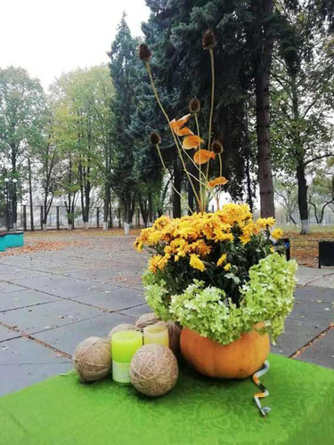 Свято-квест «Скарби осені» в Гребінці (Полтавщина)