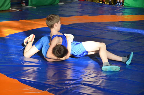 У Гребінці пройшли змагання з греко-римської боротьби