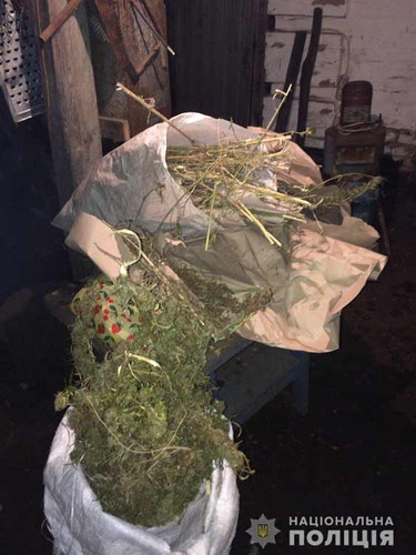 Оржицькі поліцейські задокументували наркозлочини