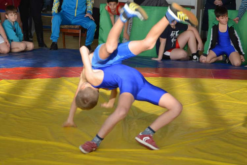 У Гребінці пройшли змагання з греко-римської боротьби