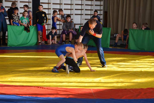 У Гребінці пройшли змагання з греко-римської боротьби