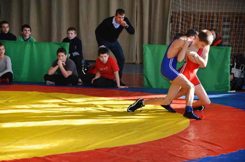 У Гребінці пройшли змагання з греко-римської боротьби