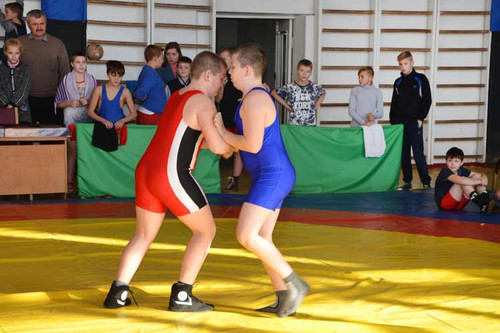 У Гребінці пройшли змагання з греко-римської боротьби