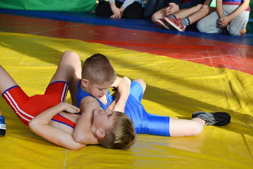 У Гребінці пройшли змагання з греко-римської боротьби